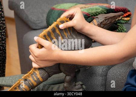 Child's hands holding and interacting with a brown and orange toy dinosaur Stock Photo