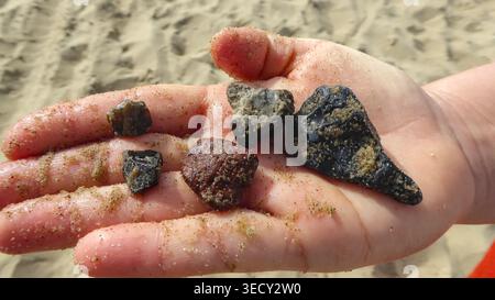 A hand holding multiple small stones covered in sand on the beach of Texel, Netherlands Stock Photo
