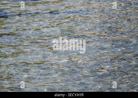 Close-up of rippling water with sunlight reflections, creating an abstract natural texture background in Annecy, France. Stock Photo