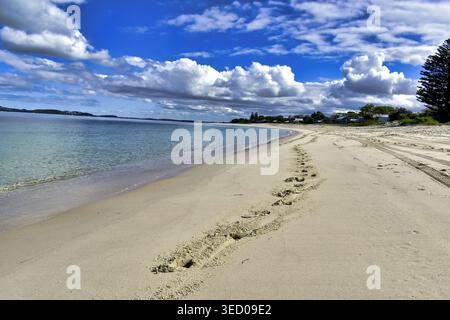 A pale sandy beach stretches along a quiet coastline, marked by footprints and tyre tracks leading toward clear, calm blue water. In the distance, tre Stock Photo