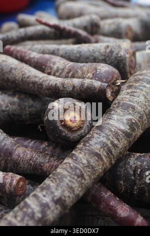 Purple root vegetables are stacked together in a market Stock Photo