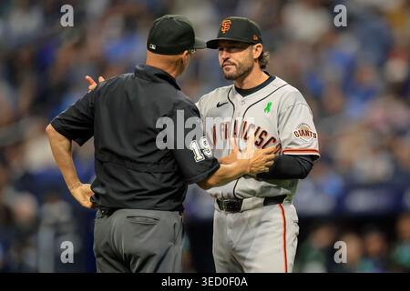 St. Petersburg, Florida, USA. 2nd May, 2026. San Francisco Giants manager Tony Vitello (23) comes out to challenge the out on left fielder Heliot Ramos (17) telling home plate umpire Hunter Wendelstedt (19) that the ball hit part of the upper roof supports however the call on the field stands during an MLB game against the Tampa Bay Rays on May 2, 2026 at Tropicana Field. The Rays beat the Giants 5-1. (Credit Image: © Kim Hukari/ZUMA Press Wire) EDITORIAL USAGE ONLY! Not for Commercial USAGE! Stock Photo