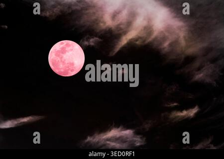 Dramatic night sky with a detailed full pink moon and beautiful cirrus clouds for a romantic and mysterious concept with copy space Stock Photo