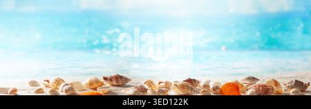Beautiful sand beach background with seashells on the seashore. Copy space for text. Stock Photo