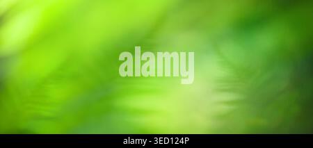 Summer natural and blurred green plants background with copy space for text. Stock Photo