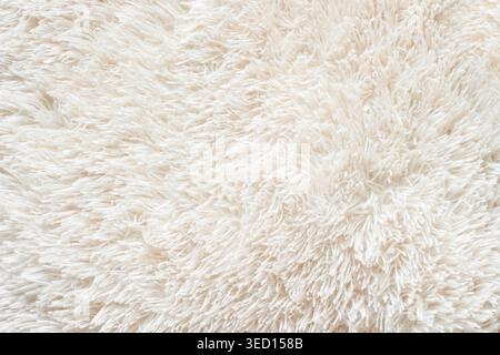 Fluffy long pile soft woolen light beige cozy carpet above view macro Stock Photo