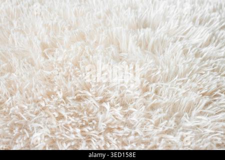 Fluffy long pile soft woolen light beige carpet macro Stock Photo