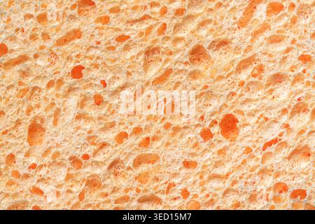 Natural sponge texture detailed macro abstract background Stock Photo