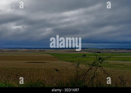 A vast agricultural plain stretches toward a distant volcanic hill under a brooding, layered storm sky. Patchwork fields of harvested grain and green pasture create a mosaic across the flat Victorian landscape, while a lone shrub frames the foreground. The heavy cloud formations cast a cool, dramatic light across the scene, evoking the raw, expansive character of rural Australia. Stock Photo