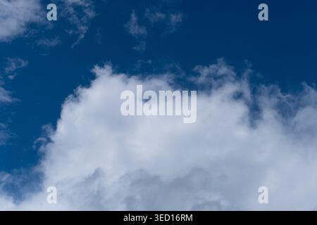A high-resolution photograph of a massive, fluffy white cumulus cloud formation set against a clear and deep blue sky. The image captures the soft tex Stock Photo