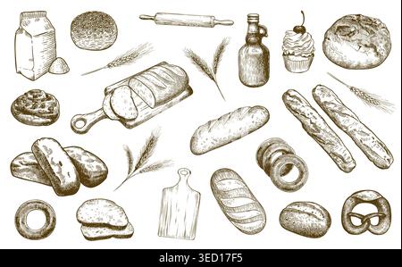 Bread loaf and bakery set with sliced baguettes and rustic pretzels for artisan cafe labels, recipe packaging, and vintage market or restaurant Stock Vector