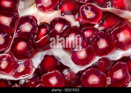 Detail of pomegranate seeds with rich red colors and shapes Stock Photo