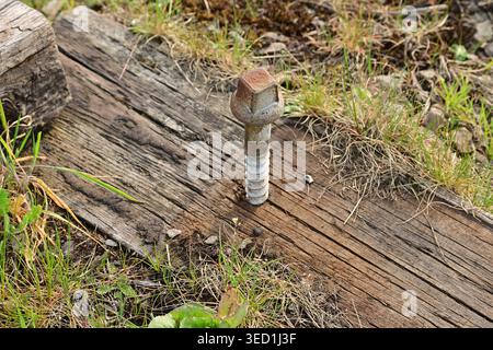 Rusty railway bolt in old wooden sleeper, UK close-up Stock Photo
