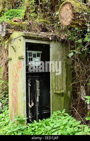 Abandoned electrical cabinet overgrown by moss and trees on disused railway Stock Photo