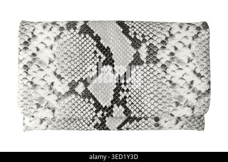 Female clutch small bag made of fashionable luxury leather in python snake pattern isolated on white background. Soft animal print on pure leather bag Stock Photo