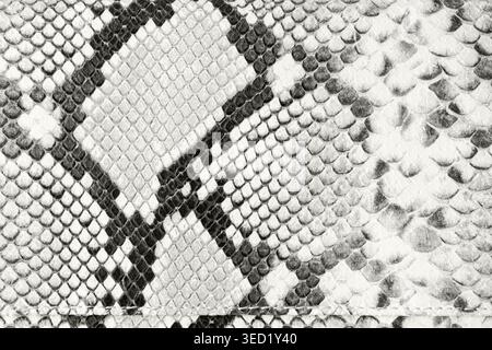 Textured python snake print on pure leather as background with copy space. Abstract soft snake leather texture sample. Trendy color of 2026 year Cloud Stock Photo