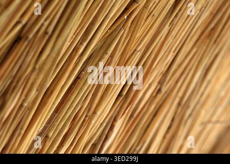 Close-up view of woven grass detailing showcases nature's artistry and charm. Stock Photo