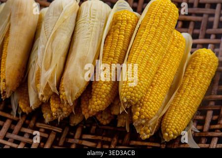A close-up shot of vibrant yellow corn cobs, some partially husked, resting in a dark brown woven basket. The golden kernels stand out against the pal Stock Photo