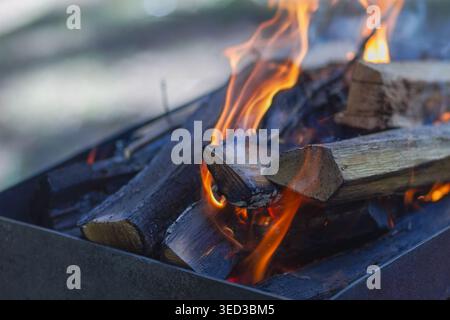 Burning wood logs with flames in a barbecue grill. Authentic outdoor cooking process and heat texture. Stock Photo