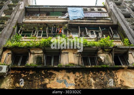 Low angle view of an old building in Yangon, Myanmar. The facade features peeling walls, wooden windows, and balconies overgrown with tropical plants, Stock Photo