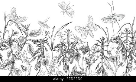Moths and wild herbs with flowers black white vector seamless border. Hand drawn outline repeat drawing of meadow plants and grasshopper. Botanical Stock Vector