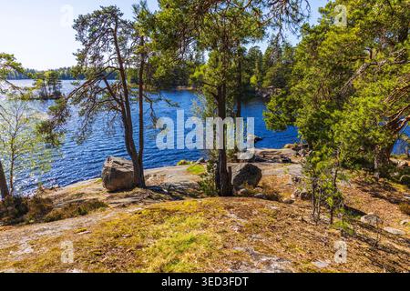 Beautiful view of rocky lakeshore with pine trees and large stones beside blue water on background of forest. Sweden. Stock Photo