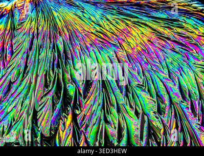 Cross-polarised sodium sulphite crystals radiate vivid iridescent colours, forming intricate textures in this striking scientific micrograph. Stock Photo
