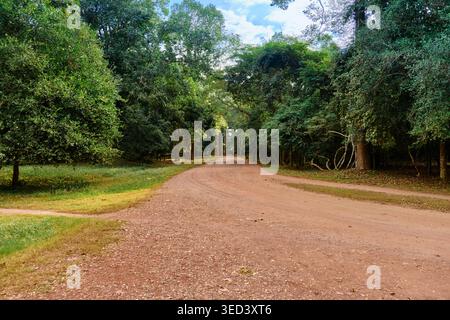 Dirt road through tropical forest leading to Angkor Wat temple complex in Cambodia. High quality photo Stock Photo