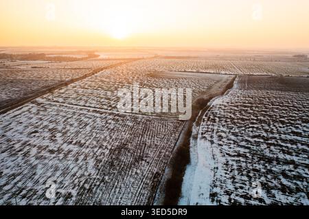 Aerial view showcasing expansive snow covered fields stretching to the horizon at dawn. The early morning sun casts a warm glow over the frozen landscape, highlighting agricultural patterns. Stock Photo