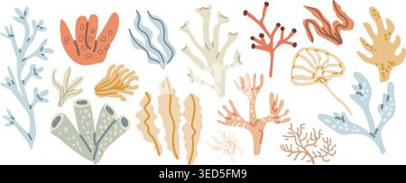 Colorful underwater coral and seaweed collection illustrating marine diversity. Stock Vector