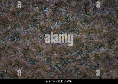 Yellow road covering made of rubber crumb for a sports ground. Synthetic grainy rubber flooring, surface coating for playground Stock Photo