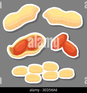 Illustration on theme of set tasty natural eco product peanut nut, pattern consisting of kit various options meal peanut nut, abstract composition of Stock Vector
