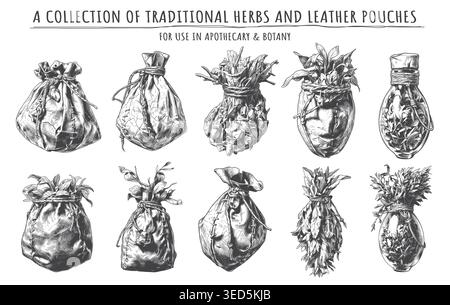 A comprehensive collection of traditional herbs, dried botanical bundles, and tied leather pouches in a highly detailed vintage engraving style. Featu Stock Vector