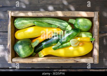 Wooden crate filled with assorted zucchini, fresh organic vegetables, harvest concept. Green and yellow squash top view, rustic background, healthy seasonal produce Stock Photo