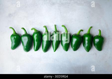 Even line of jalapeno peppers on neutral gray backdrop with soft shadow. Organic spicy vegetables pattern minimal food concept Stock Photo