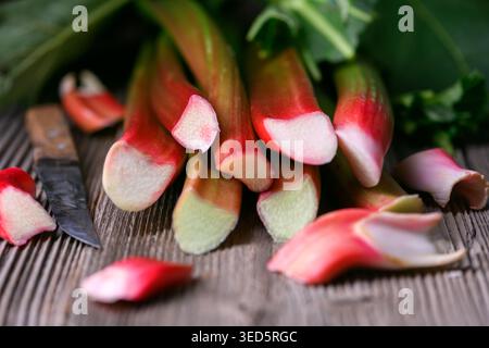 Fresh rhubarb bundle with cut pieces on rustic wood, natural light composition. Organic rhubarb stems close up, seasonal produce for cooking and baking Stock Photo