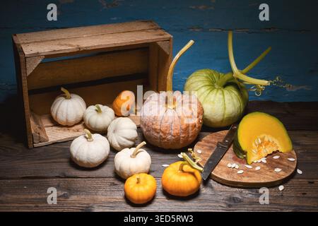 Assortment of pumpkins with small gourds on wooden table in soft lighting. Autumn harvest composition with squash and seasonal vegetables Stock Photo
