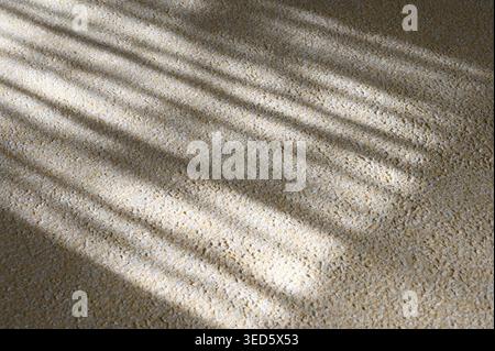 Sunlight streaming through blinds casts striped shadows on a textured carpet surface Stock Photo