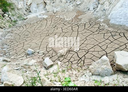 Dried-up lake, sprout and stones in the foreground Stock Photo