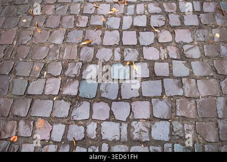 Fragment of old cobblestone road with yellow leaves Stock Photo