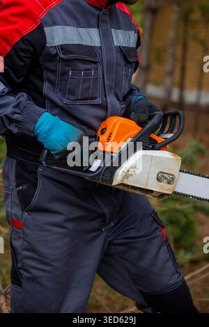 Holding chainsaw ready for cutting wood in forest, outdoor logging work detail. Concept: forestry work Stock Photo