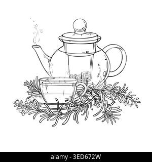 Rosemary Tea in Teapot Outline Illustration. Stock Vector