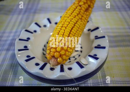 Macro photograph focusing on the golden, textured kernels of a dried corn cob placed inside a decorative white ceramic bowl with blue geometric patter Stock Photo