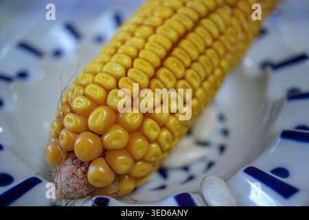 Close-up food photography featuring a rustic dried maize cob and raw white beans in a traditional patterned ceramic bowl. This high-resolution image h Stock Photo