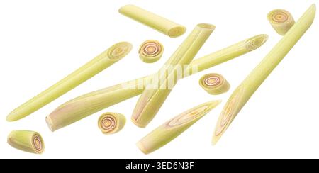Falling lemongrass stalks and slices isolated on white background with clipping path Stock Photo