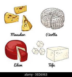 Vector food icons of cheeses. Colored sketch of food products. Maasdam, ricotta, edam, tofu Stock Vector
