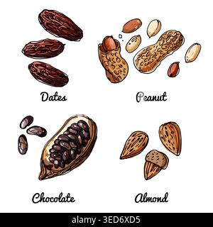 Vector food icons of nuts. Colored sketch of food products. Dates, peanuts, chocolate grains Stock Vector