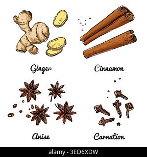 Vector food icons of nuts. Colored sketch of food products. Cashew, hazelnut, walnut Stock Vector