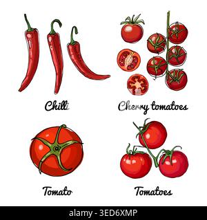 Vector food icons of vegetables and spices, herbs. Colored sketch of food products. Chili peppers, cherry tomatoes Stock Vector