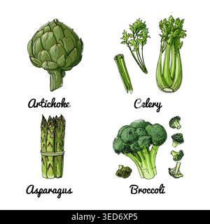 Vector food icons of vegetables and spices, herbs. Colored sketch of food products. Artichoke, celery, asparagus Stock Vector